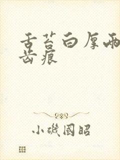 舌苔白厚两边有齿痕