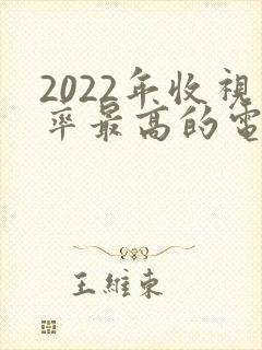 2022年收视率最高的电视剧