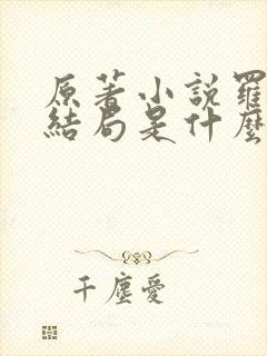 原著小说罗小虎结局是什么封面