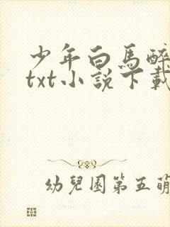 少年白马醉春风txt小说下载