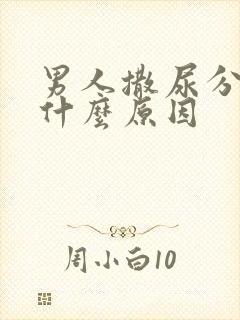 男人撒尿分叉是什么原因