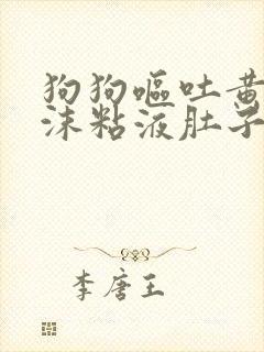 狗狗呕吐黄水泡沫粘液肚子咕噜响