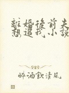 离婚后前夫总是想追我小说免费阅读