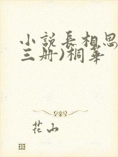 小说长相思(全三册)桐华