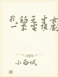 我的天才女友第一季电视剧免费观看