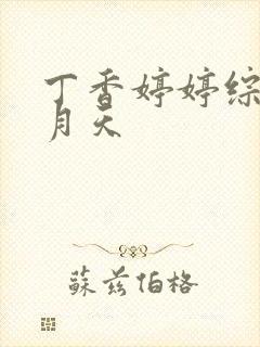 丁香婷婷综合五月天