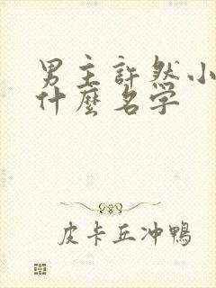 男主许然小说叫什么名字