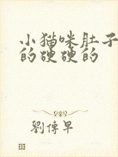 小猫咪肚子鼓鼓的硬硬的