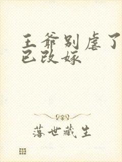 王爷别虐了王妃已改嫁