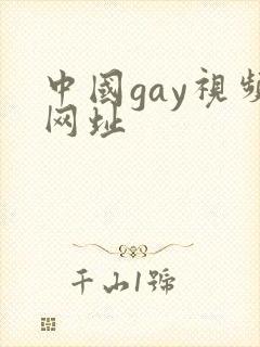 中国gay视频网址