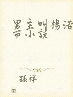 男主叫杨浩,都市小说