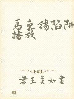 马东锡陷阱在线播放