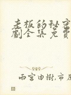 老板的秘密电视剧全集免费观看