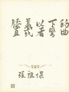 膝盖以下的筋伸直或者弯曲就疼封面