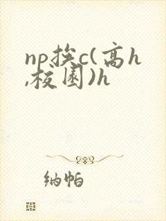 np挨c(高h,校园)h