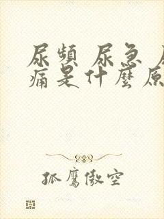 尿频 尿急 尿痛是什么原因