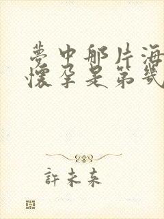 梦中那片海晓梅怀孕是第几集封面