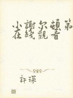 小谢尔顿第一季在线观看