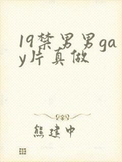 19禁男男gay片真做