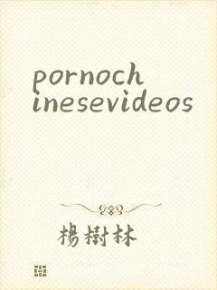 pornochinesevideos
