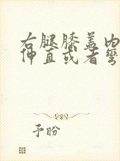 右腿膝盖内侧疼伸直或者弯曲疼挂什么科