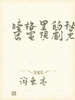 暗格里的秘密秘密电视剧免费播放