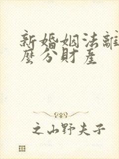 新婚姻法离婚怎么分财产