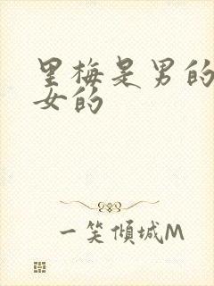 里梅是男的还是女的