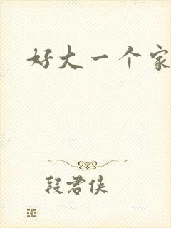 好大一个家17