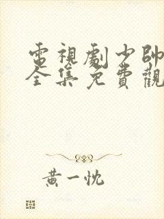 电视剧少帅48全集免费观看在线云