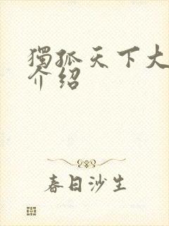 独孤天下大结局介绍封面