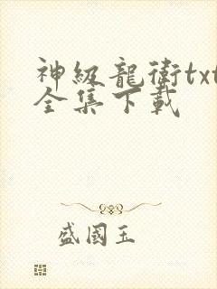 神级龙卫txt全集下载