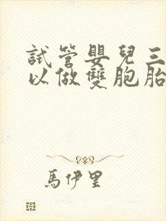 试管婴儿三代可以做双胞胎吗