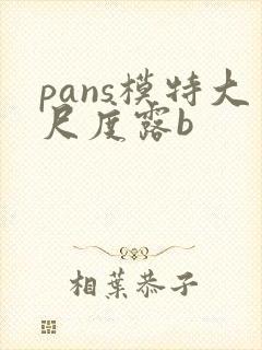 pans模特大尺度露b