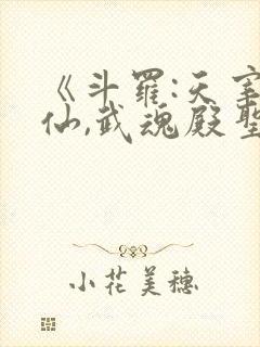 《斗罗:天宰剑仙,武魂殿圣枢首席》封面