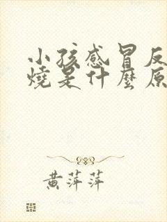 小孩感冒反复发烧是什么原因引起的