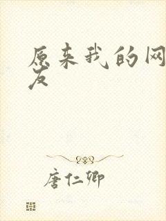 原来我的网恋女友