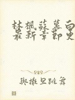 林枫苏慕白小说最新章节更新内容起点