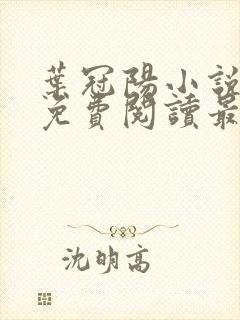 叶冠阳小说全文免费阅读最新章节