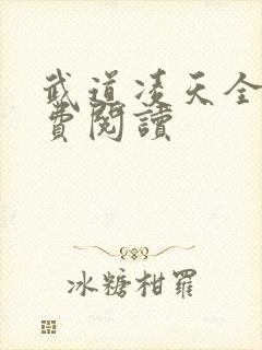 武道凌天全本免费阅读