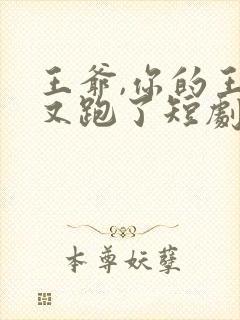 王爷,你的王妃又跑了短剧