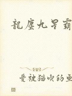 龙尘九星霸体诀