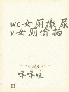 wc女厕撒尿tv女厕偷拍