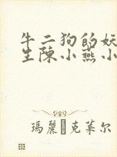 牛二狗的妖孽人生陈小燕小说封面