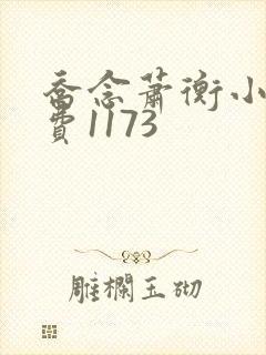 乔念萧衡小说免费1173