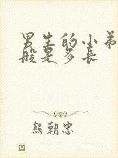 男生的小弟弟一般是多长封面