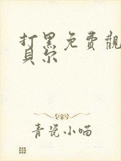 打黑免费观看包贝尔封面