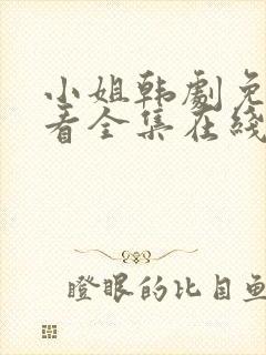 小姐韩剧免费观看全集在线高清