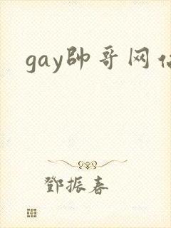 gay帅哥网站