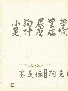 小狗尿里带点血是什么病啊